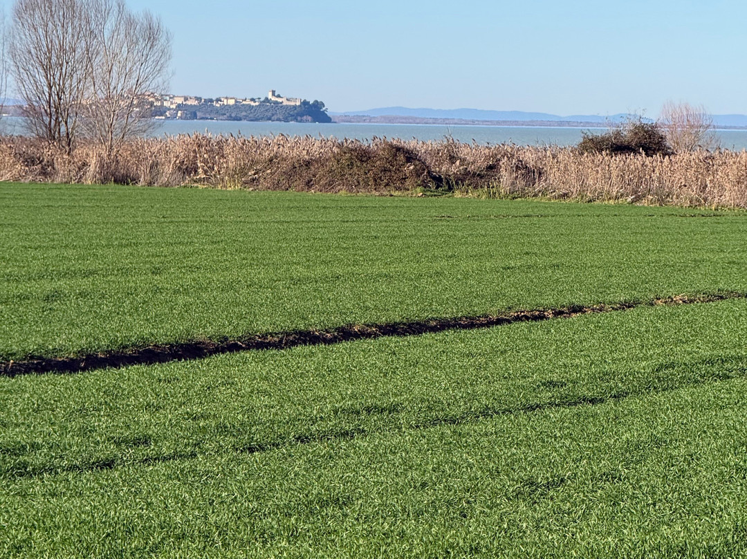 Pista Ciclabile del Trasimeno-Castiglione del Lago必去景点