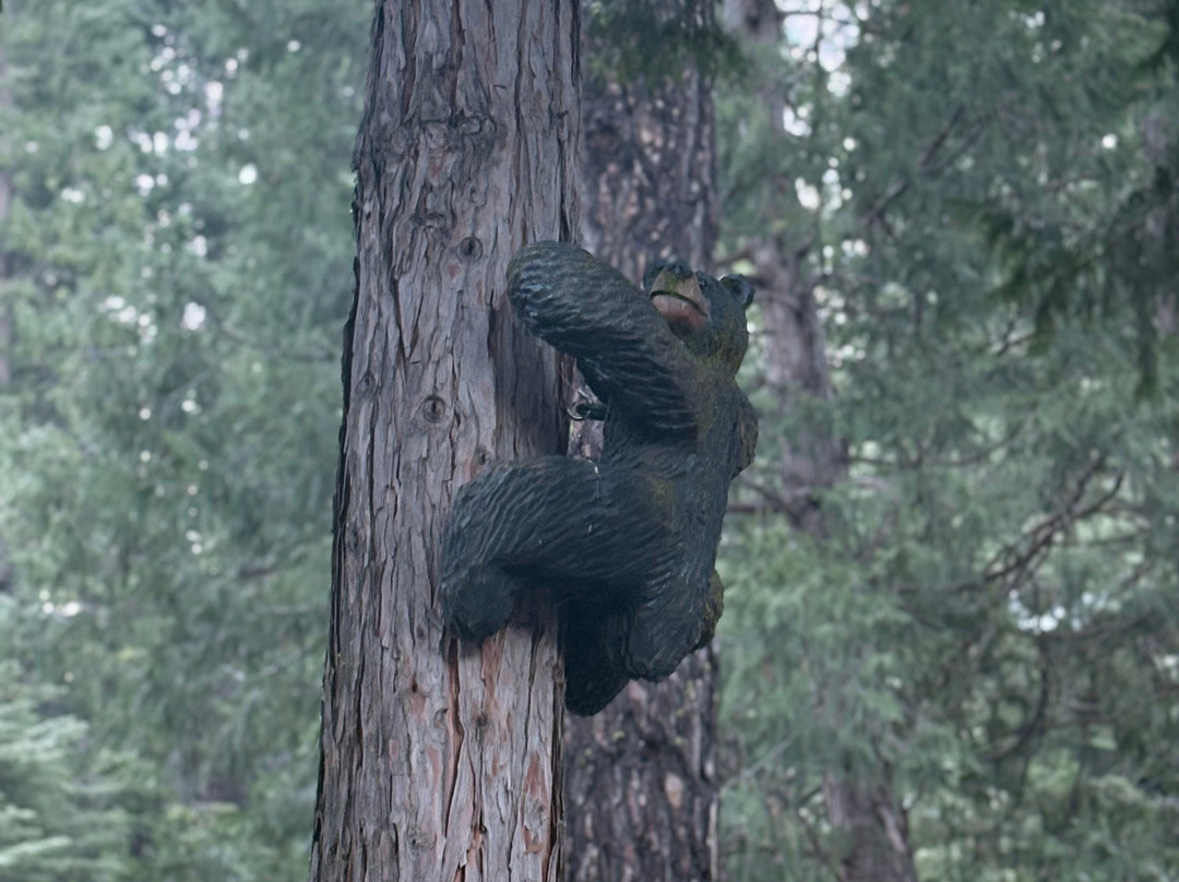 优胜美地大溪住宿加早餐旅馆主图