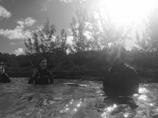 Bahamas Out Island Adventures-Gregory Town必去景点