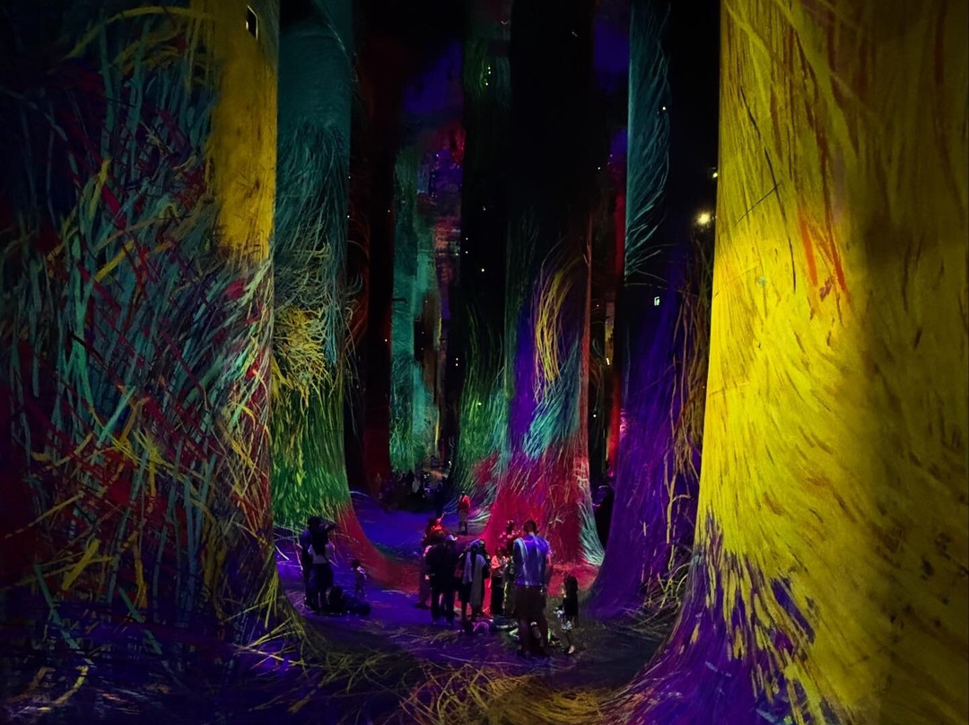 teamLab Phenomena Abu Dhabi-阿布扎比必去景点