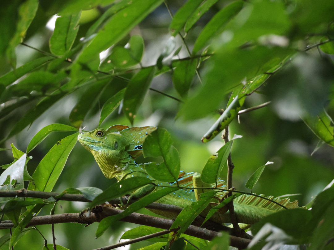 Manuel Tour Guide-卡维塔必去景点