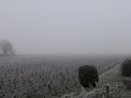 帕诺拉玛酒店主图