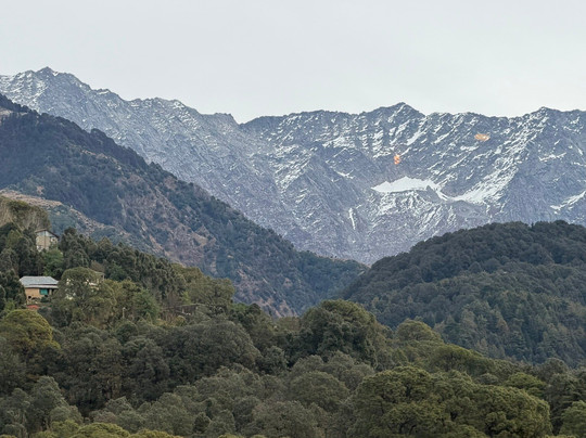 Lemon Tree Hotel Mcleodganj主图