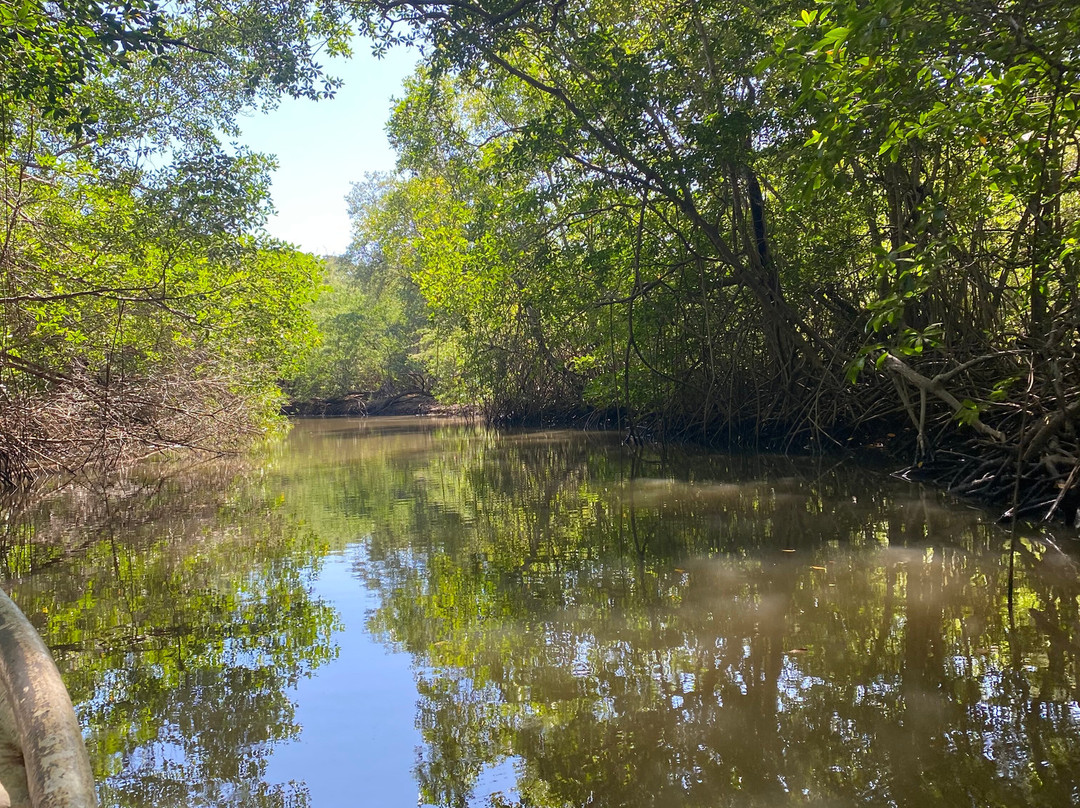 Tour Guanacaste-波特雷罗必去景点