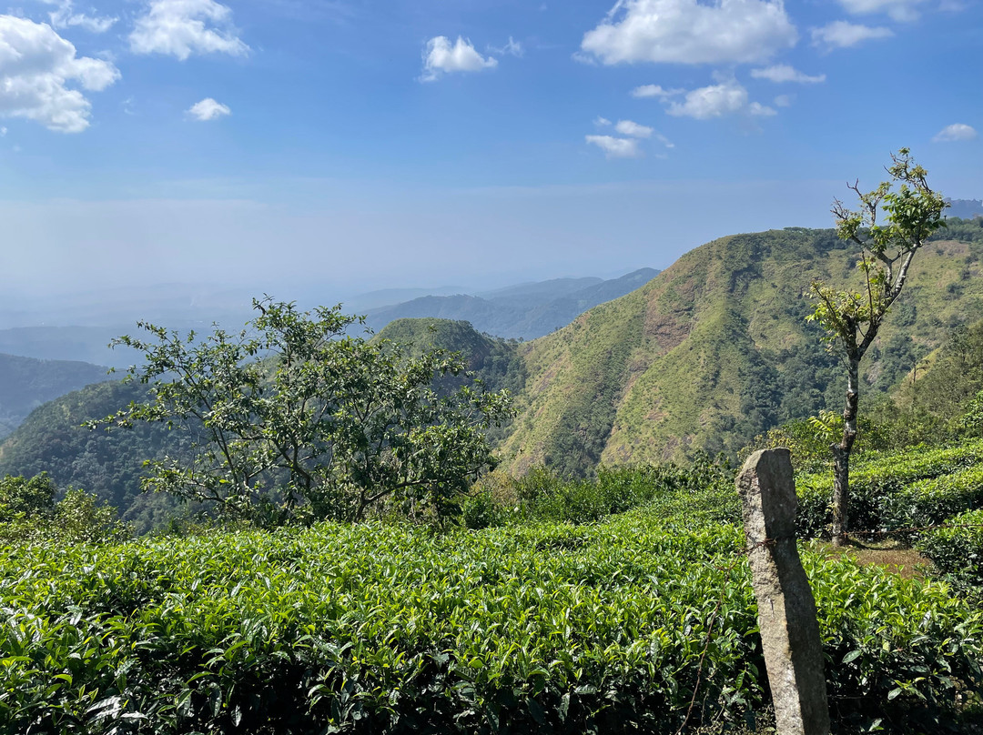 Mountain Bike Kerala-Kuttikkanam必去景点