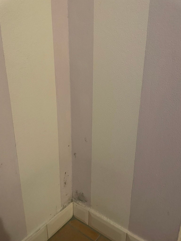 B&B L'orto Delle Terme-官方