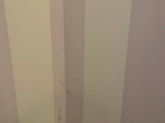 B&B L'orto Delle Terme主图