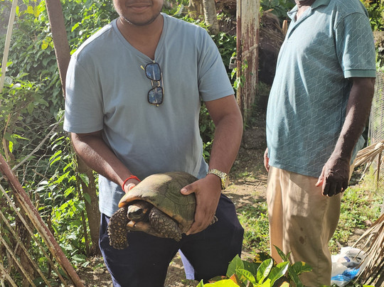 Genesis Nature Park & Art Gallery-多巴哥必去景点