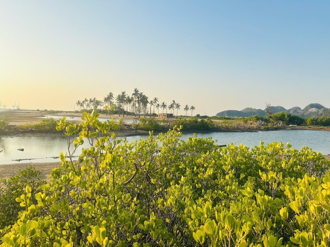 Elephant Beach-卡巴必去景点