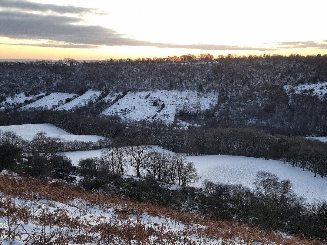 Cawthorne House主图