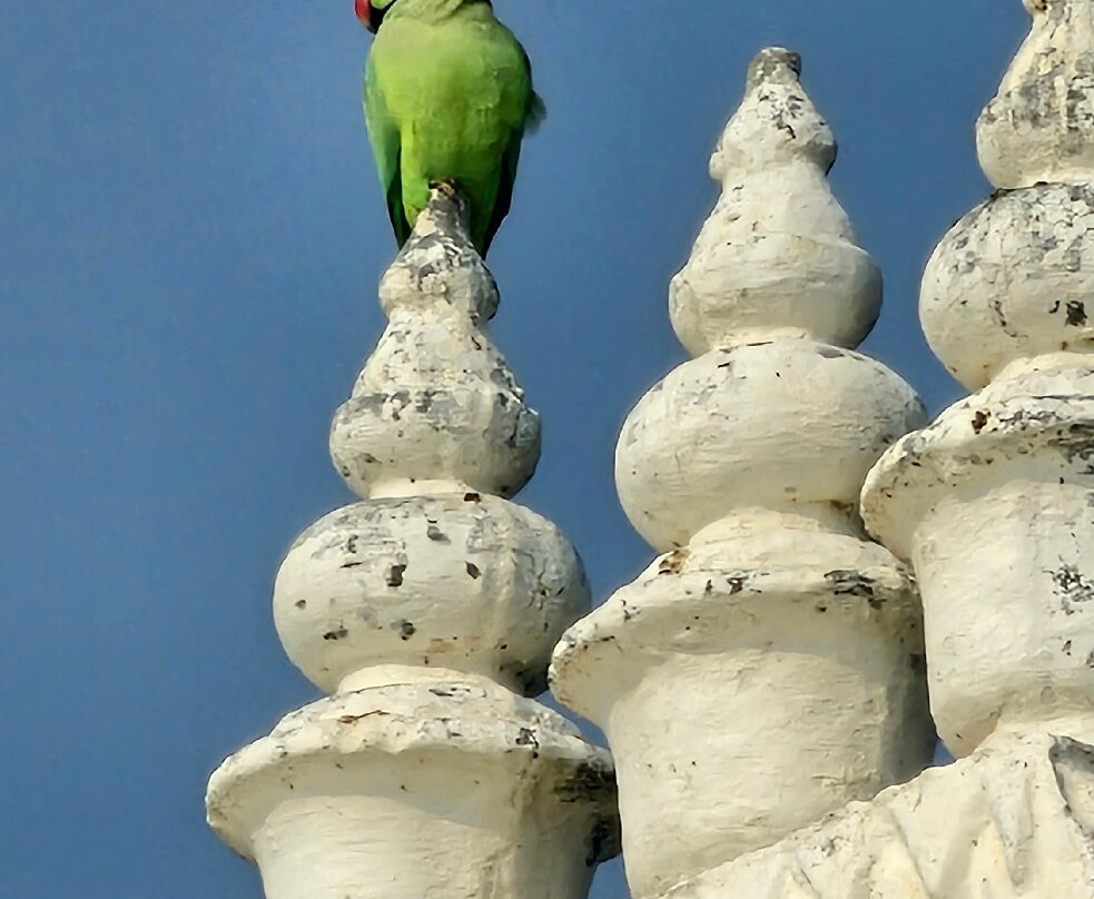 Sardargarh Heritage Fort主图