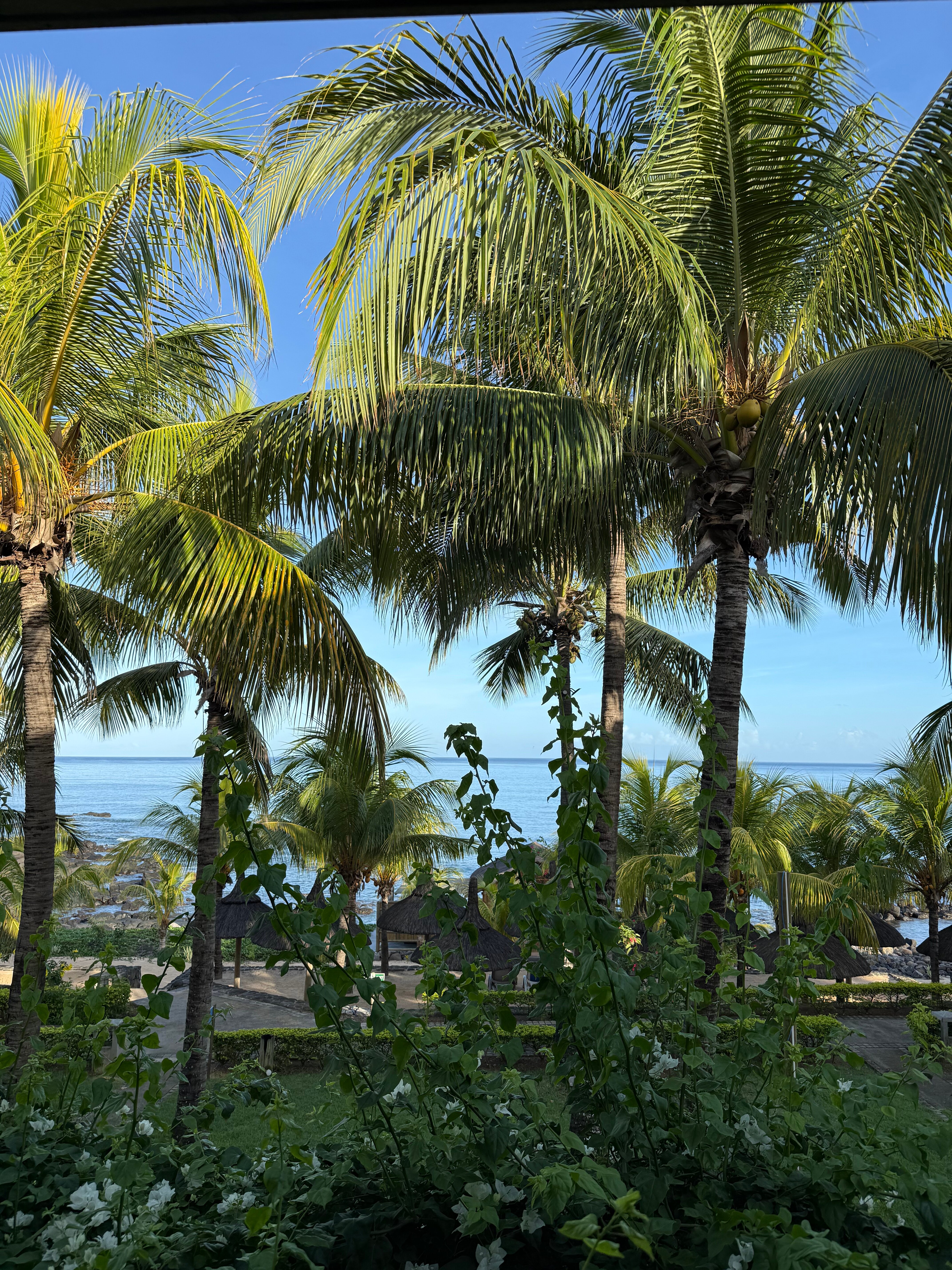 阿尼利亚度假村及Spa-浴室