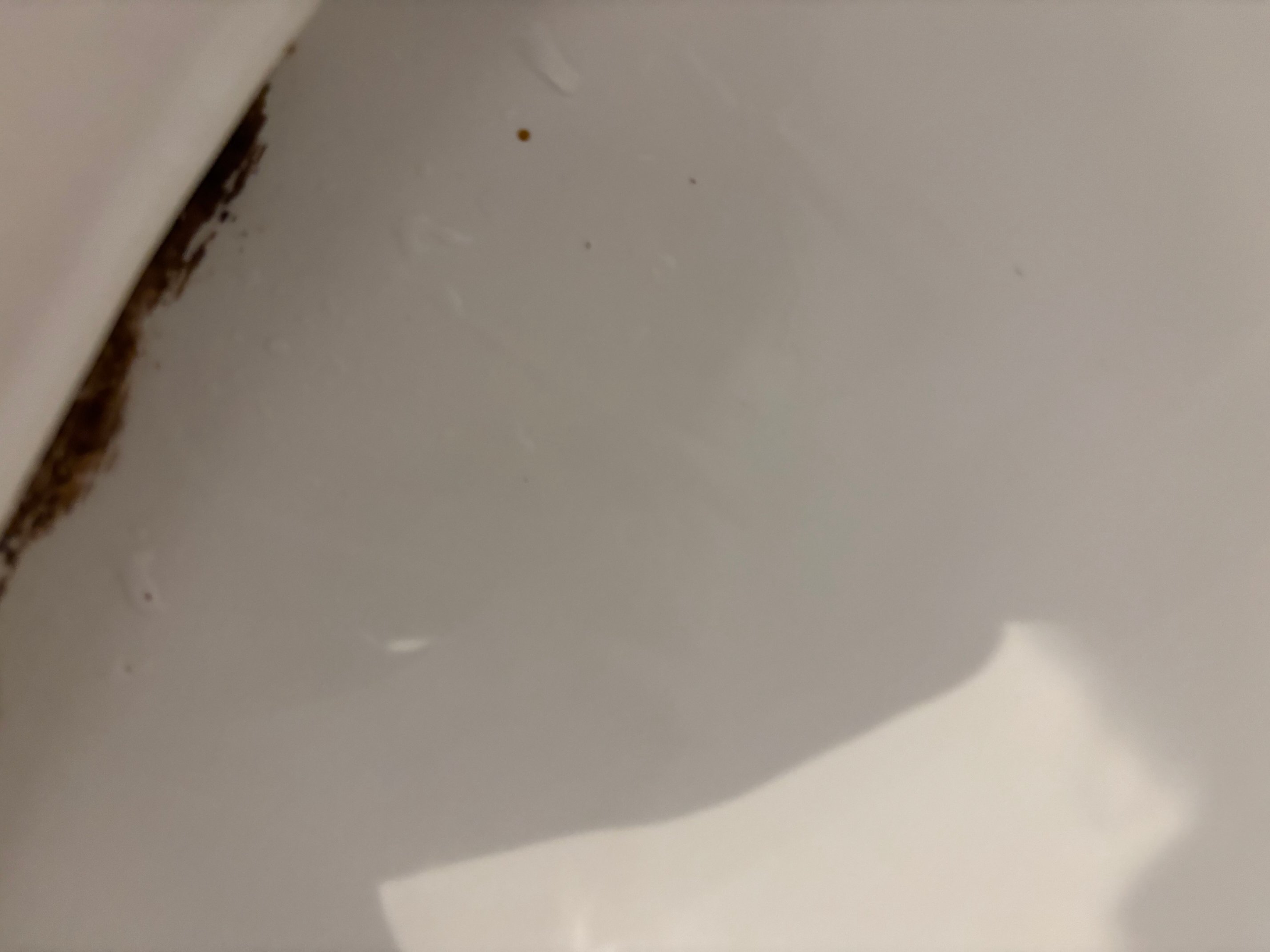 阿罗那酒店-官方