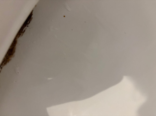 阿罗那酒店主图