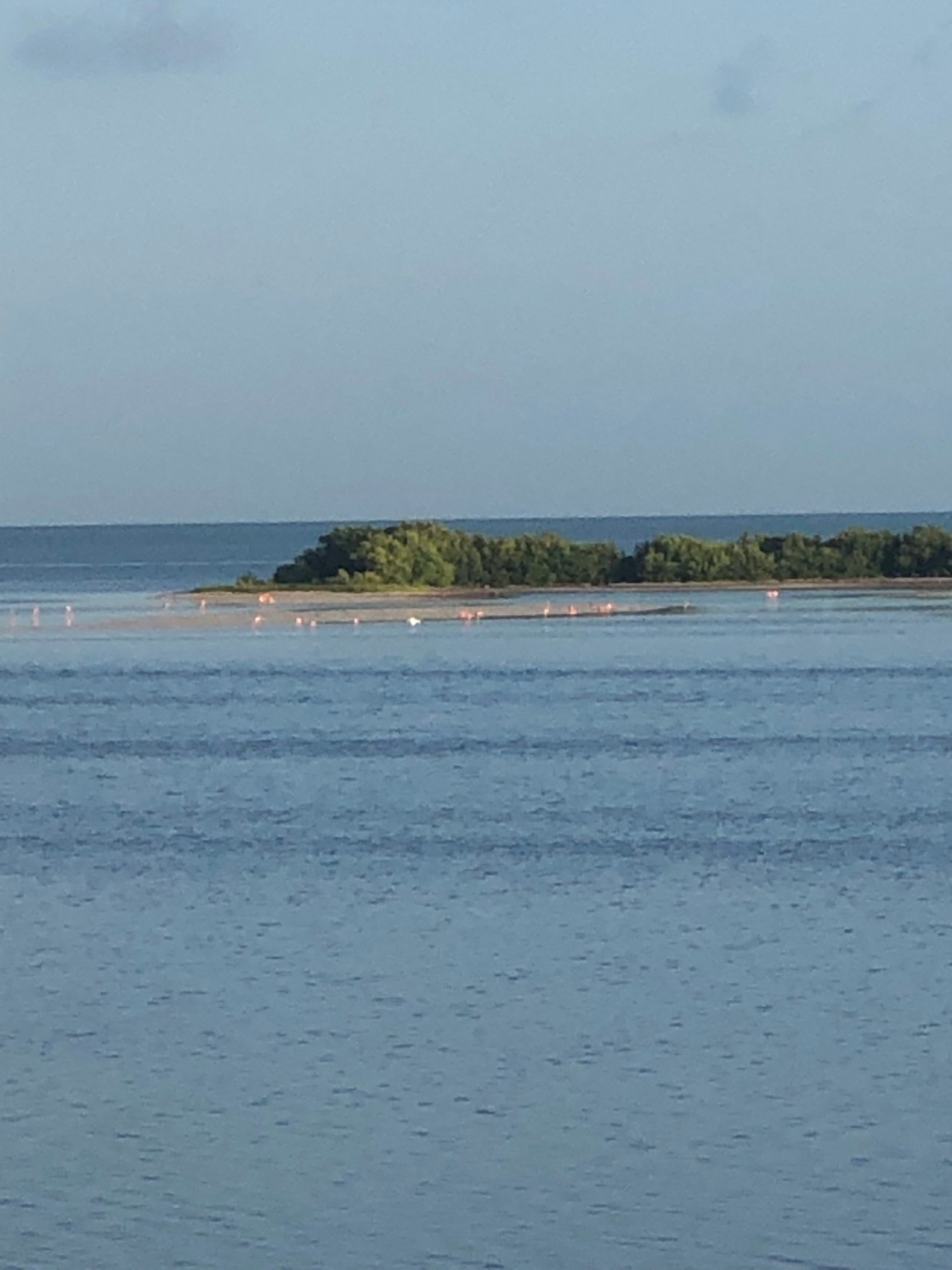 Hotel San Felipe de Jesus-酒店景观