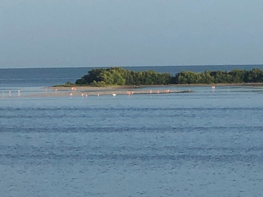 Hotel San Felipe de Jesus主图