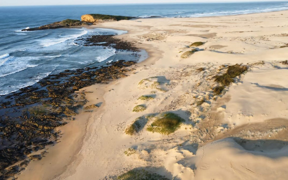 Cove View Beach House主图