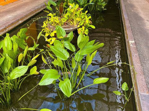 莫莱克别墅酒店主图