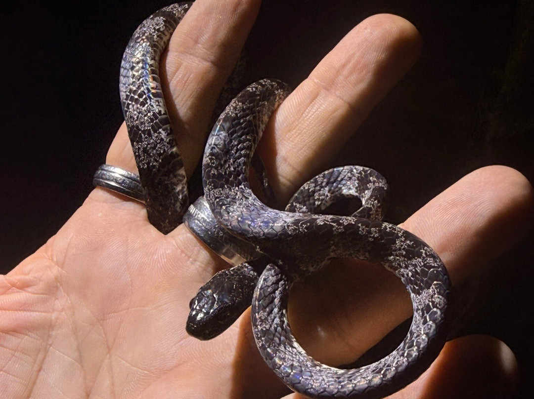 Tarantulas Way-卡维塔必去景点