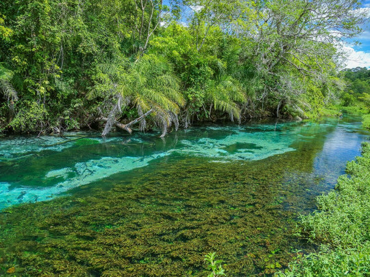 Rio Sucuri-博尼图必去景点