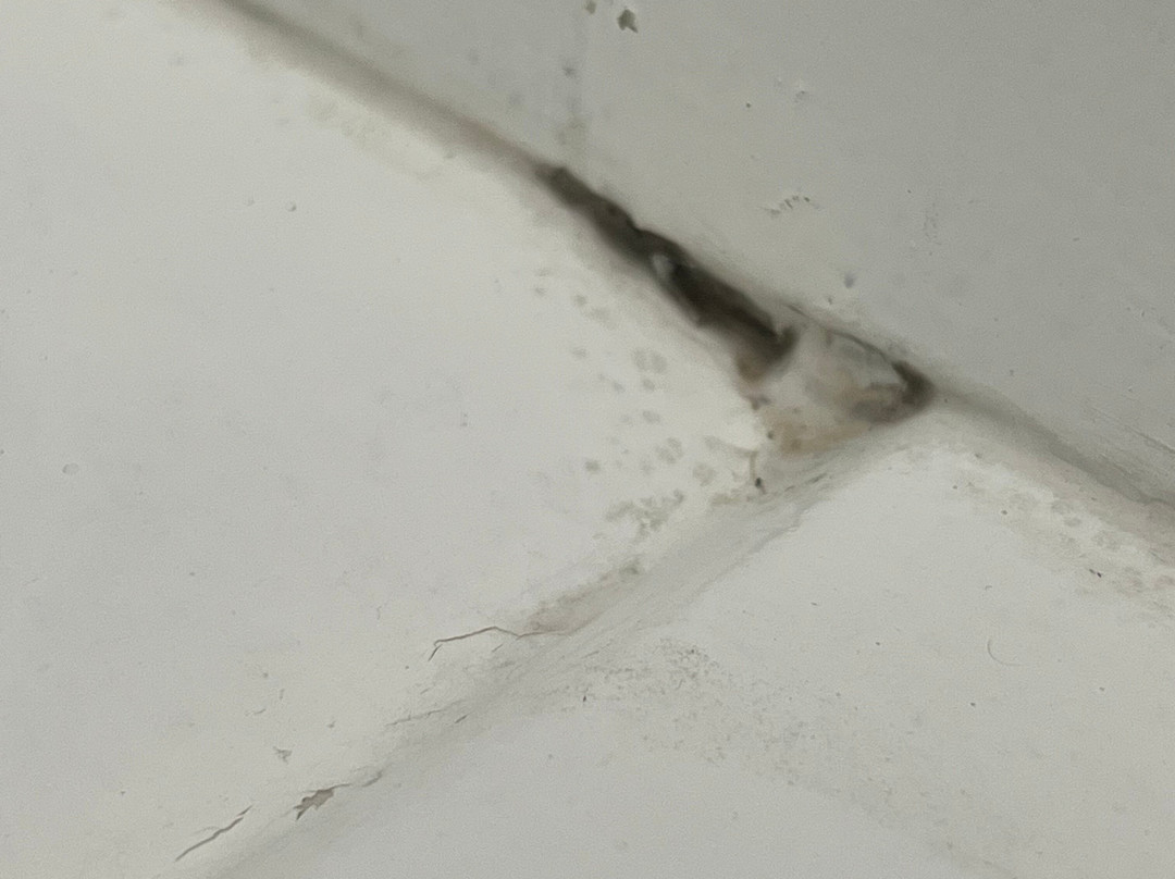 La Quinta Inn & Suites by Wyndham Hobbs主图