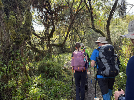 Dotcom Safaris Ltd-莫西必去景点