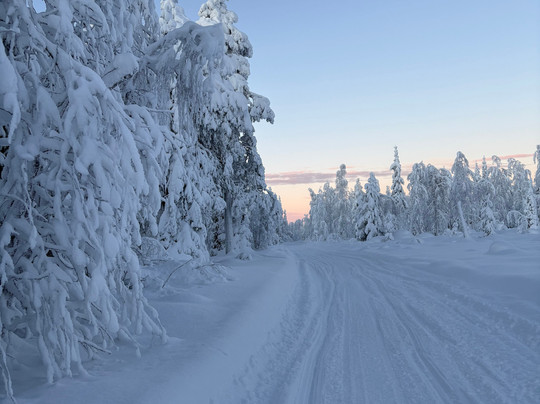 Safartica Yllas-Yllasjarvi必去景点