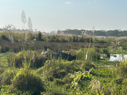Vista Trek-加德满都必去景点