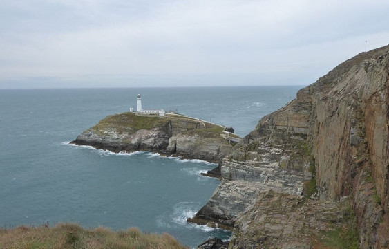 South Stack Cliffs RSPB Reserve-Holyhead必去景点