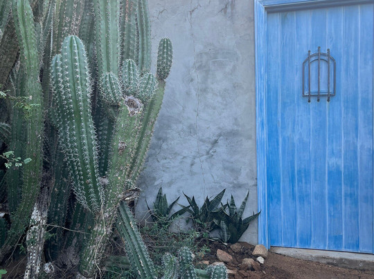 Alto Vista Winery-Noord必去景点