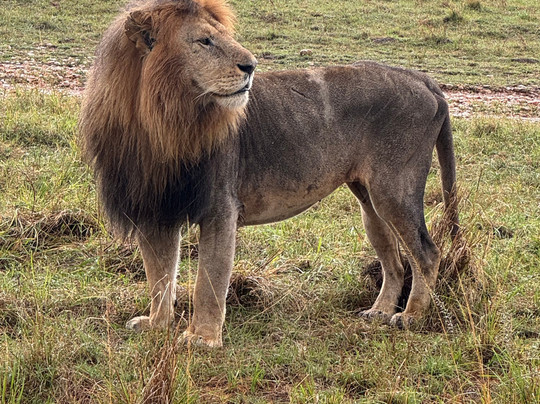 Kobe House Mara主图