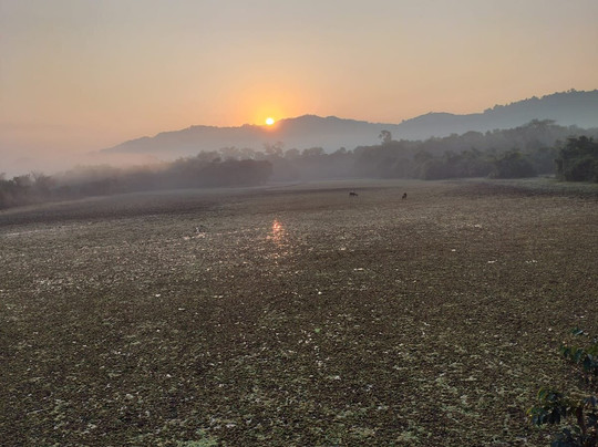 Kaziranga National Park-Golaghat必去景点