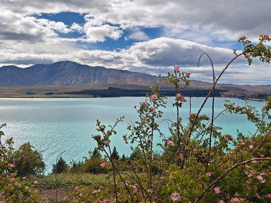 麦肯西高山骑马之旅－一日游-特卡波湖必去景点