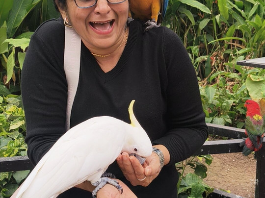 Fundera Park-Yelagiri必去景点