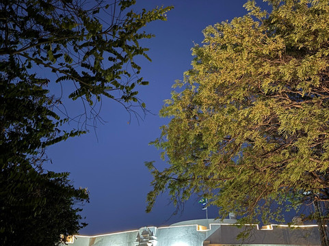 Forte Nossa Senhora Dos Remédios-费尔南多-迪诺罗尼亚群岛必去景点