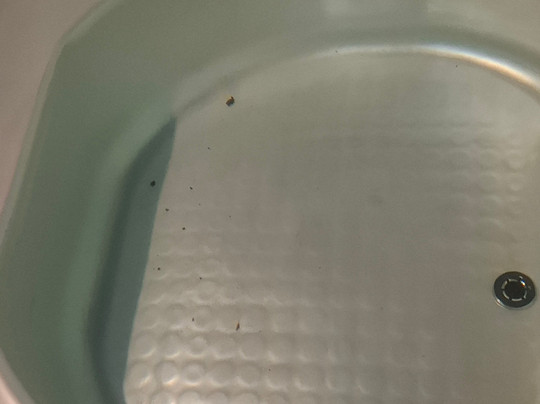 莱昂纳多广场太巴列酒店主图