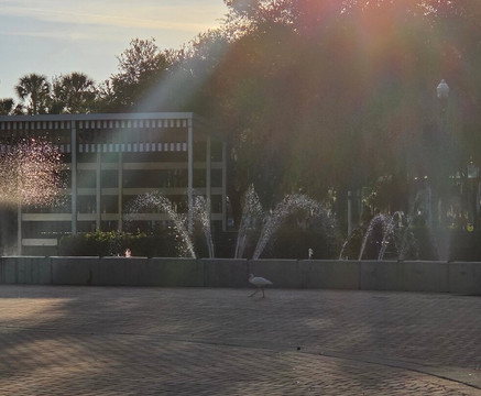 Sims Park-新里奇港必去景点