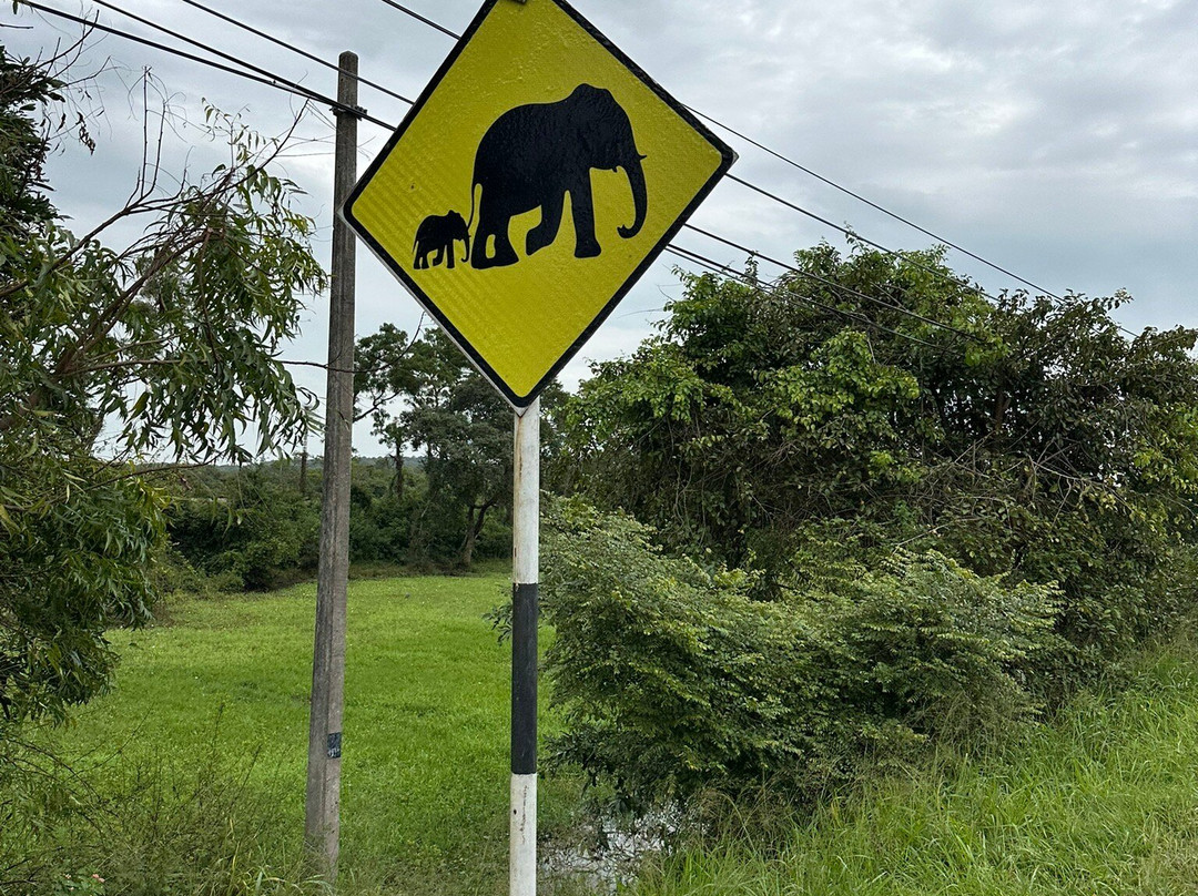 Minneriya Jeep Safari & Tours-锡吉里亚必去景点