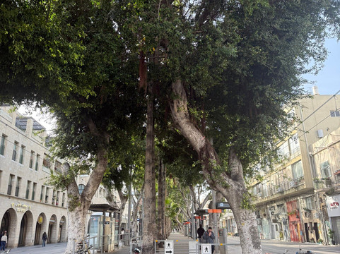 Exclusive Israel Tours-特拉维夫必去景点