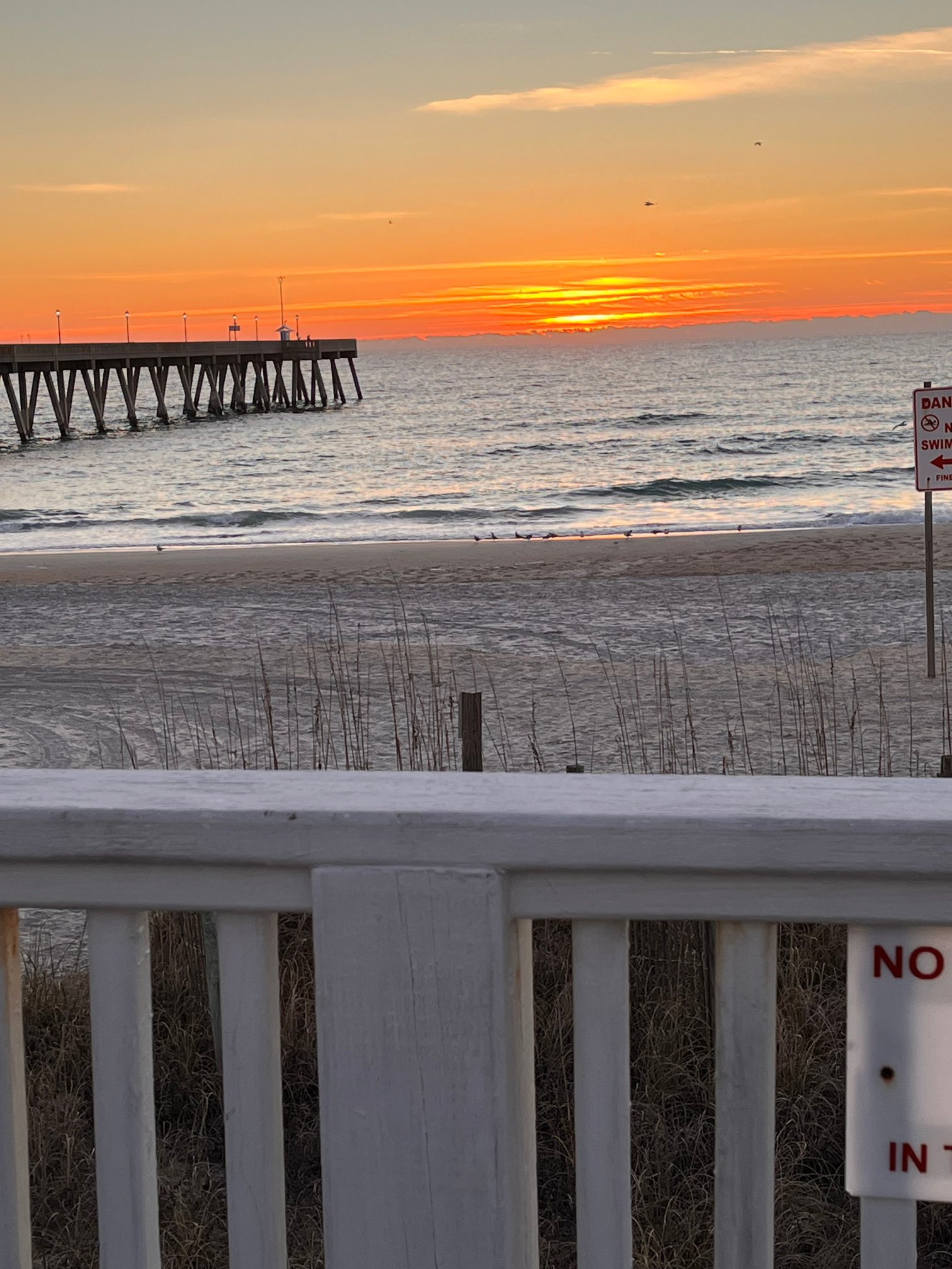 Silver Gull Motel-官方