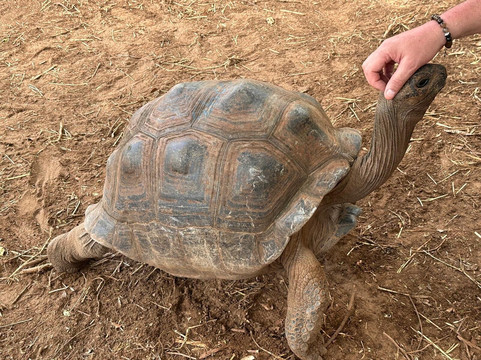 弗欧萨法特山林小屋主图