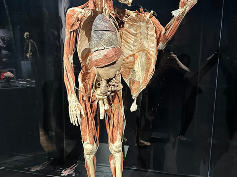 健康博物馆-休斯顿必去景点