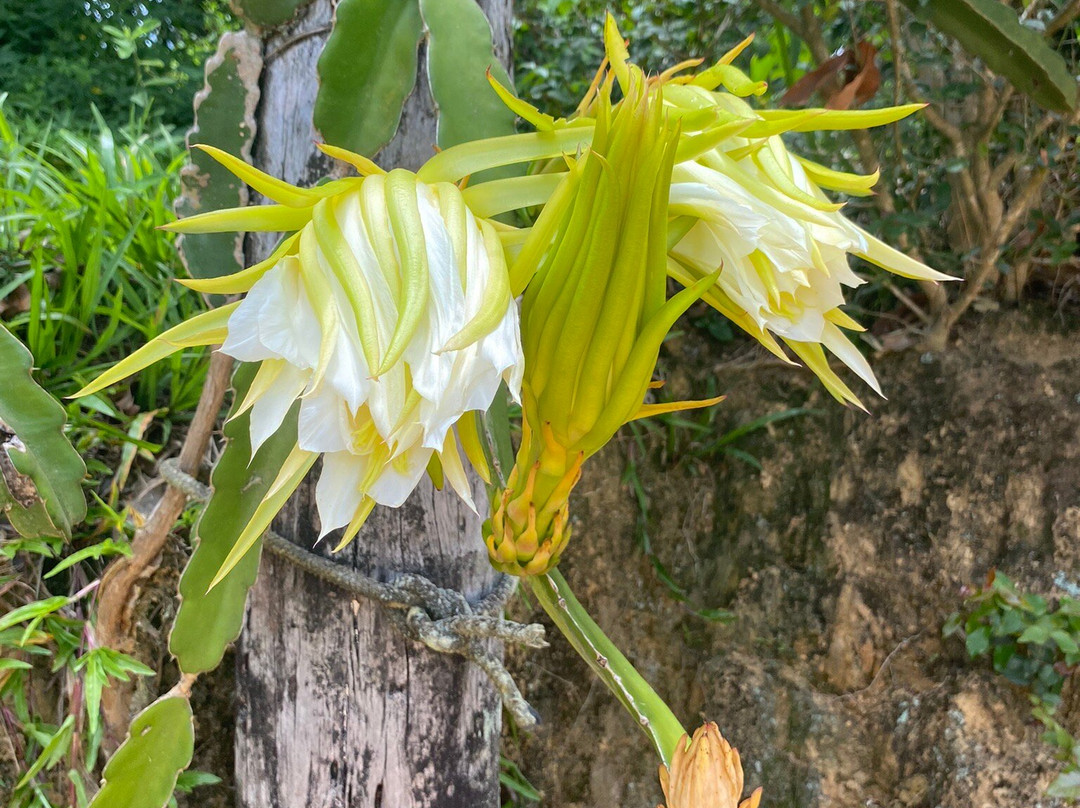 Vinicola Ziviani-Santa Teresa必去景点