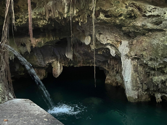 Akumal Monkey Sanctuary & Rescued Animals-艾库玛尔必去景点