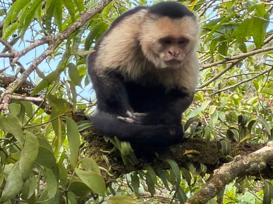 Alejandro Chaves Viquez Tour Guide-圣何塞必去景点