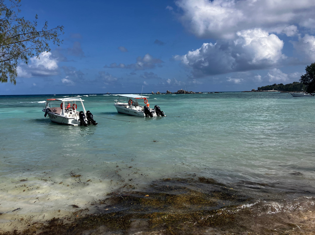 Island hopping-La Réunion必去景点