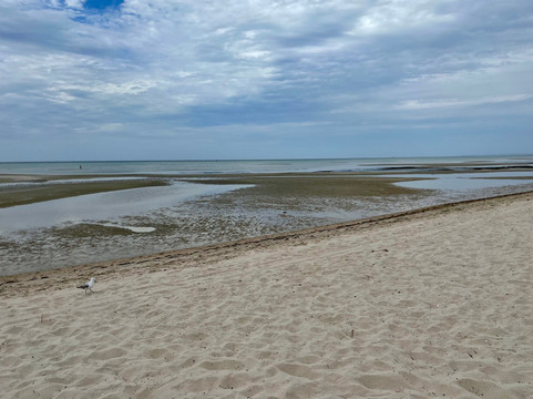 Capel Sound Foreshore-Tootgarook必去景点