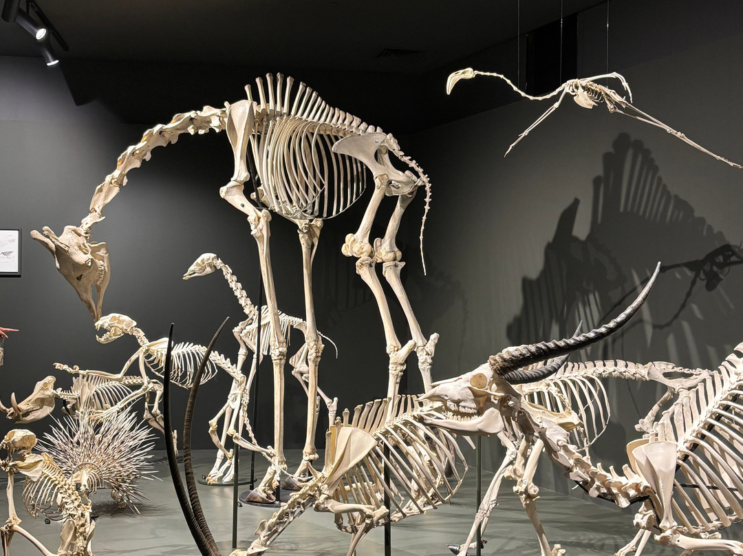 Dubai Crocodile Park-迪拜必去景点