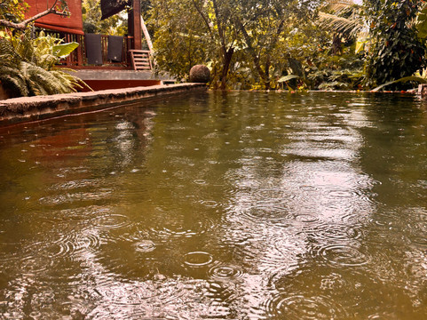 Sri Yoga Shala-乌纳瓦图纳必去景点