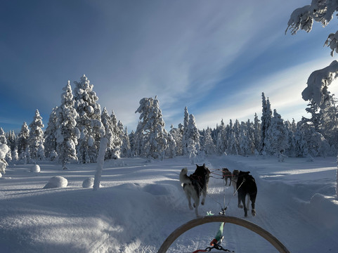 Era-Susi Huskies - Day Tours-Rukatunturi必去景点